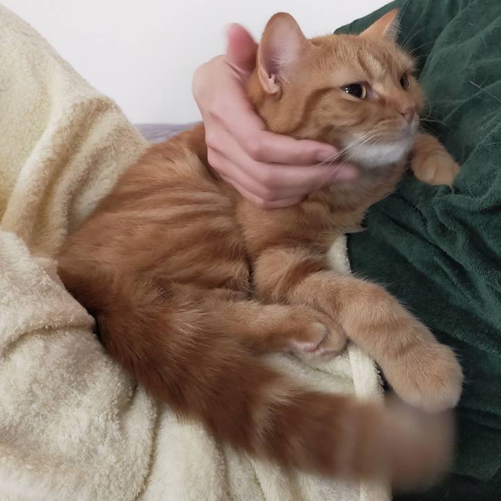 9f57c9b4 ea5c 49e2 99d0 79b3a68ffaf9 1598598264051