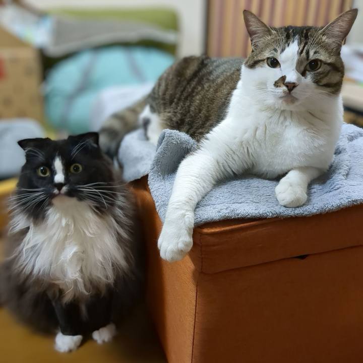 9f580d03 9cb8 4c0d b450 8ea8f744a0e4 1670971528521