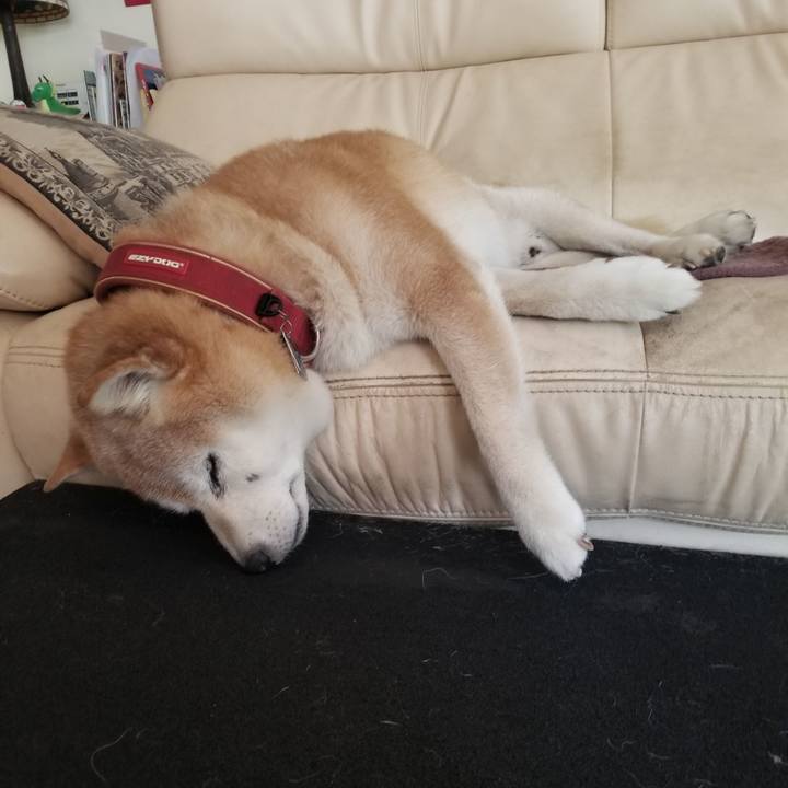 9f581cd2 3cf5 4804 8460 1c9fa6a5ba2b 1752632826862