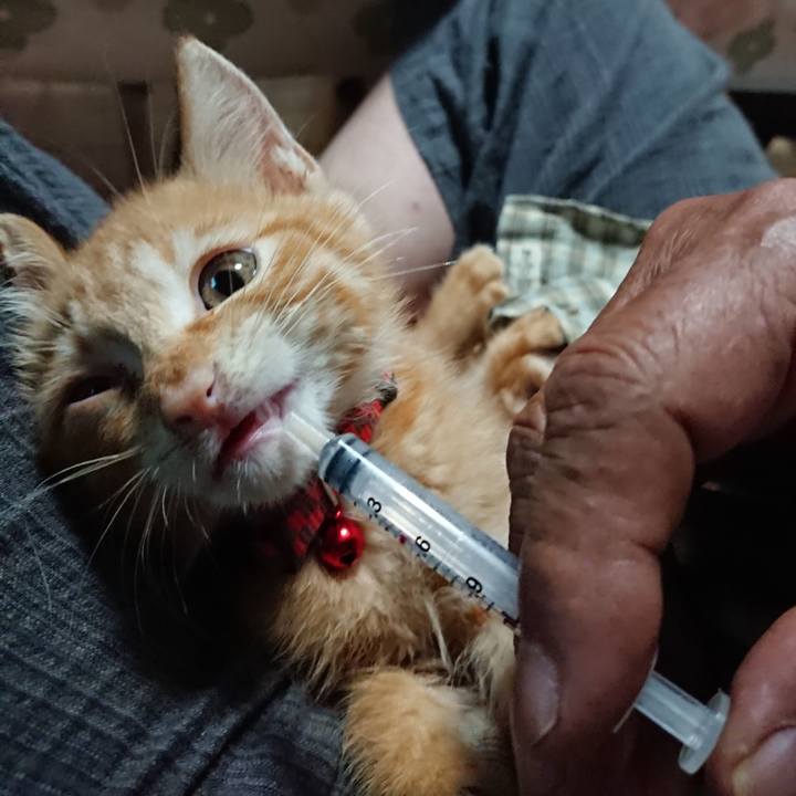 9f582823 5280 4c82 82ac 1b2335e5a145 1628281553318