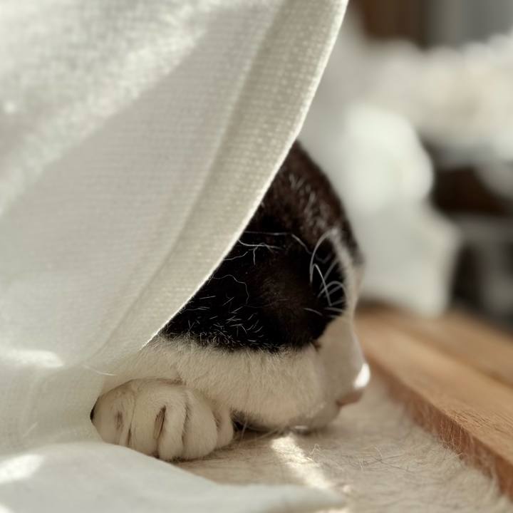 9f585c73 1526 4297 ab03 c2749269f8b5 1741832948948