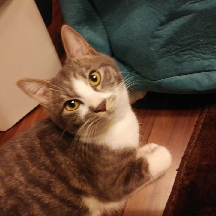 9f587462 4a24 4235 87a0 8df1d00ae2e9 1577883925632