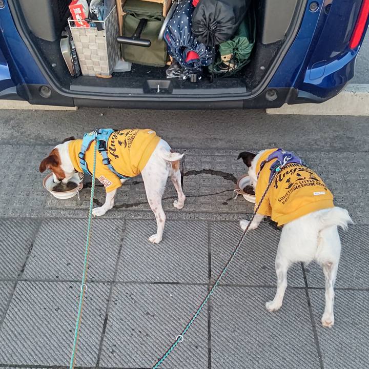 9f588e85 f85c 4740 86aa 8a735ec4834d 1684582984681