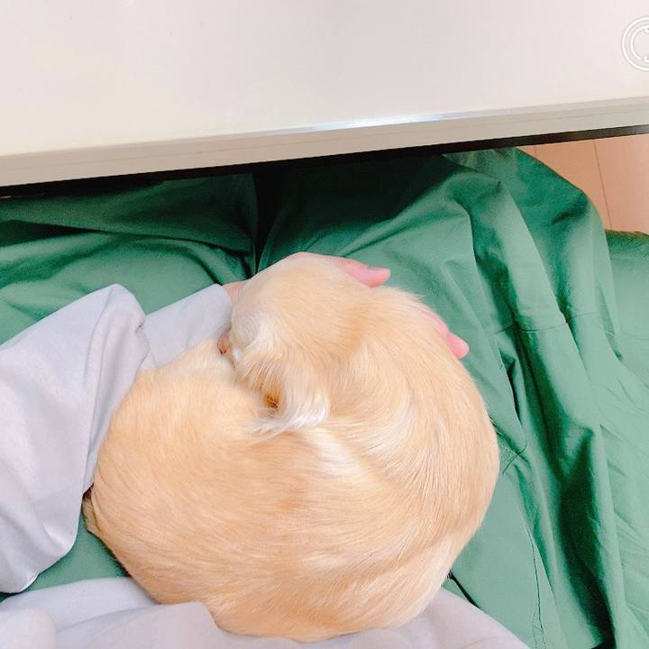 9f58a877 2b77 4850 a14e ae1f762d6e8e 1634903003655