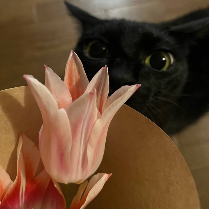 9f58e682 3f42 4575 8fd2 ab3976c220b2 1774530187655