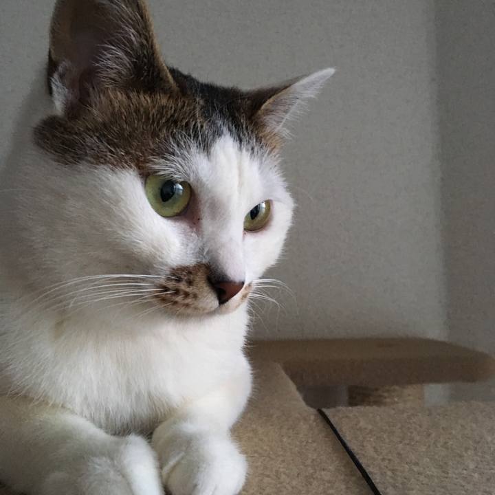 9f58ee00 4999 4ac4 a109 1422bfa9f675 1522745891137