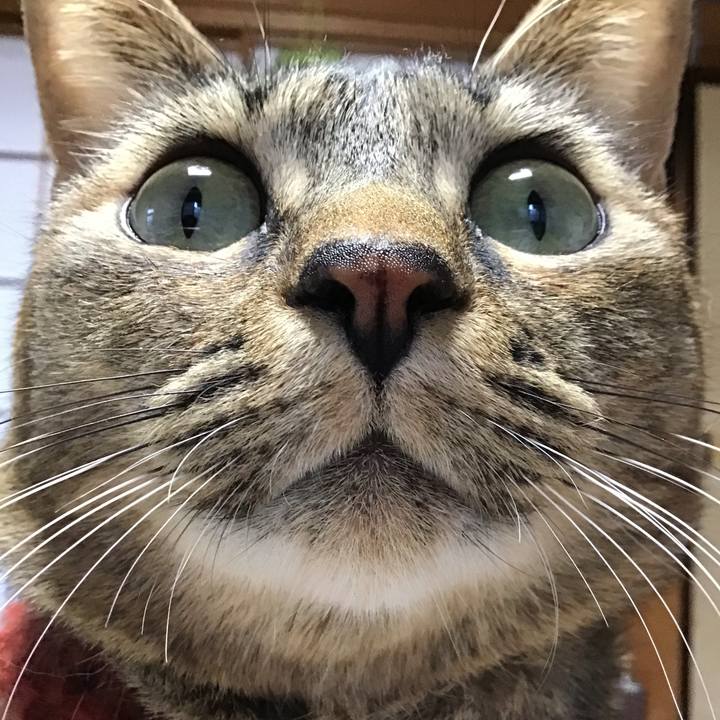 9f58fd24 701e 40ed a223 dbb10e527451 1640817371856