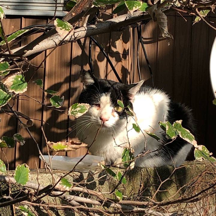 9f59150f 8093 4ba6 94cd e1faa825a5a0 1541968083501