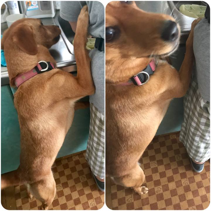 9f597718 d613 4d10 ba7e fcd93a7e2440 1536111400201