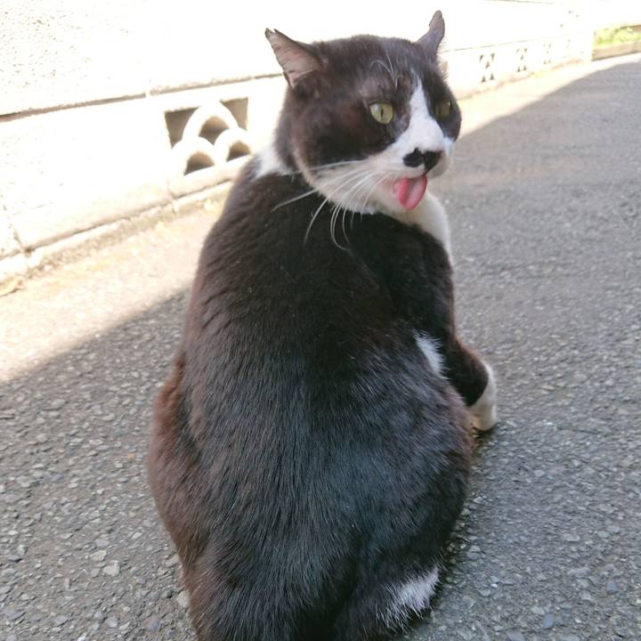 9f59894f 4913 430f 9808 a28cf3d49281 1560403970582