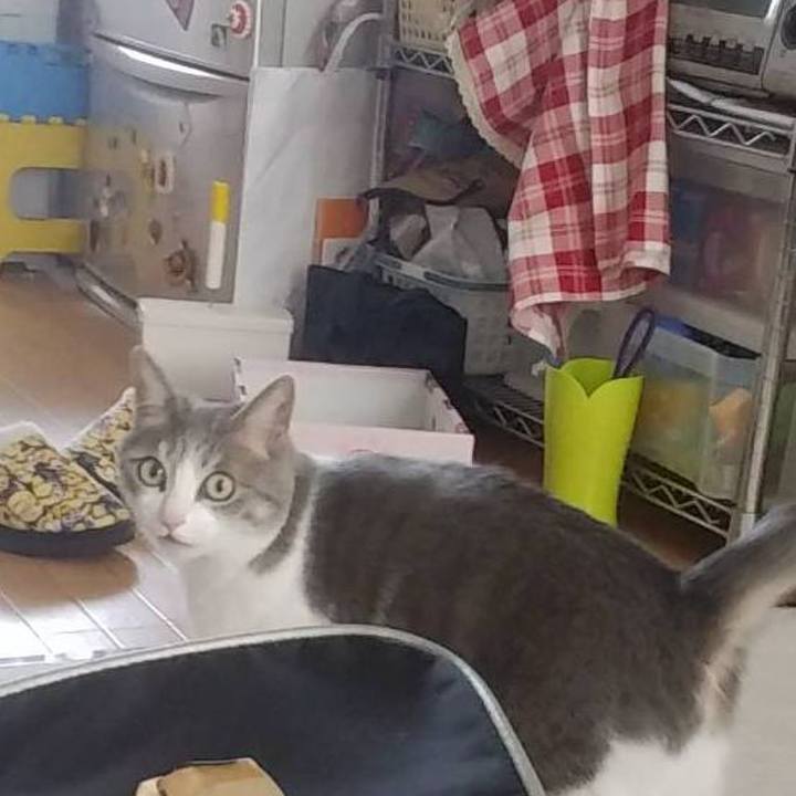 9f599ebe b756 4ab1 93ab 9770d9f07a6b 1550967263856