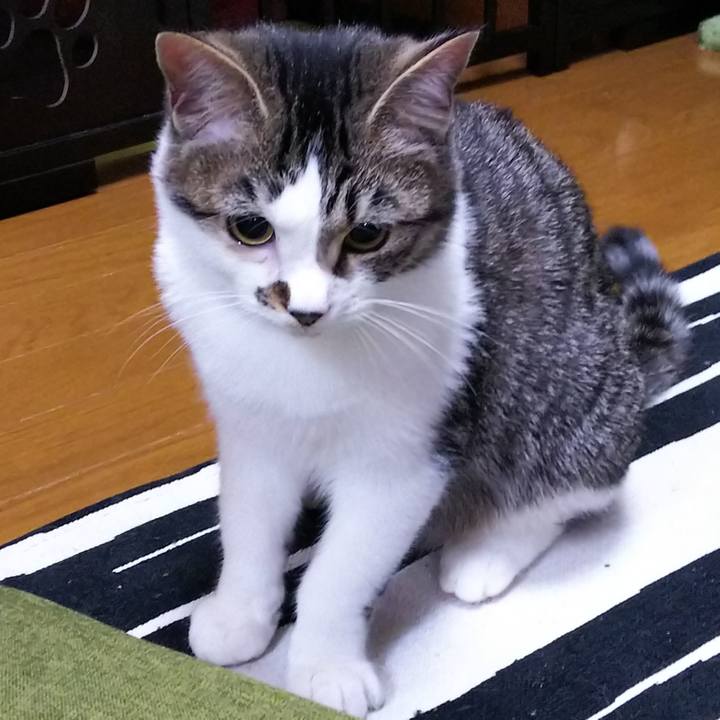 9f59afe3 2e1b 42e6 a80c 097573b79261 1615288116413