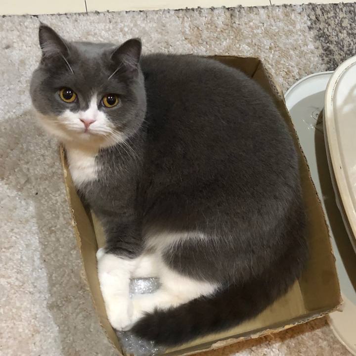 9f59c002 7d2e 411b 887c 48968b6f64ed 1552475913135