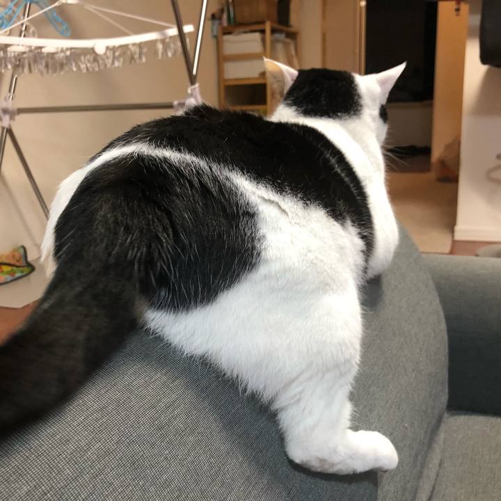 9f59ed50 2c3a 45e4 9810 d3ed77517616 1541380929351