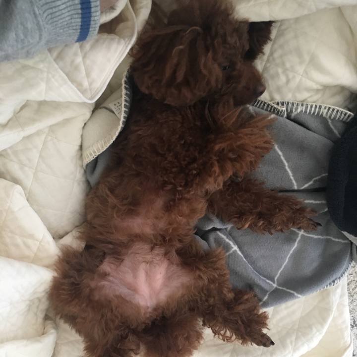 9f59f302 3dbf 481c ac3a 43bddc9b4b2f 1518869904461