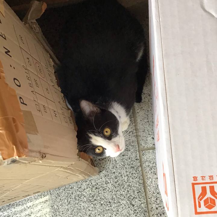 9f59f346 64ee 420e a257 1835edb71de7 1640922482131