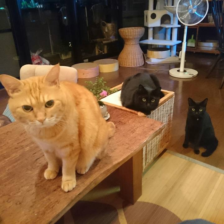 9f59ffbb 311b 4b2f b9a2 cde5f045780a 1533609688031