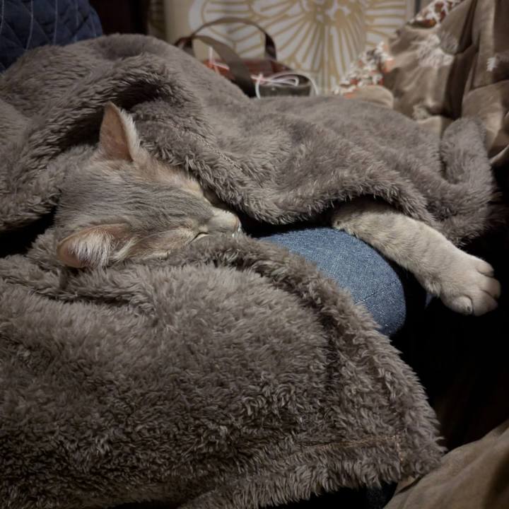 9f5a299b cff1 4e01 ac77 bf113810e9e4 1737872992058