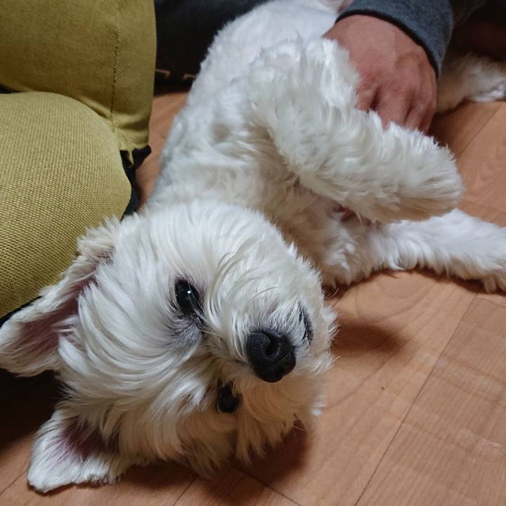 9f5a4440 1e11 495e a795 a7ec3d087c23 1604494363587