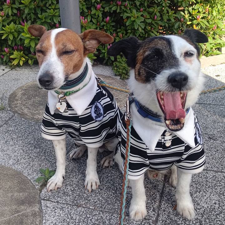 9f5a4e48 85bc 4757 b24b 2c34bf5d09a8 1713137536046