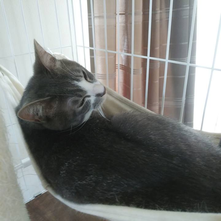 9f5a9047 9f72 4d1d 8109 aa4d349ae684 1591930097615