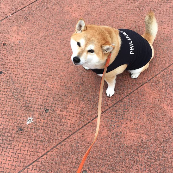 9f5a9e03 d571 4bce ad10 aabb03fda828 1571278887332