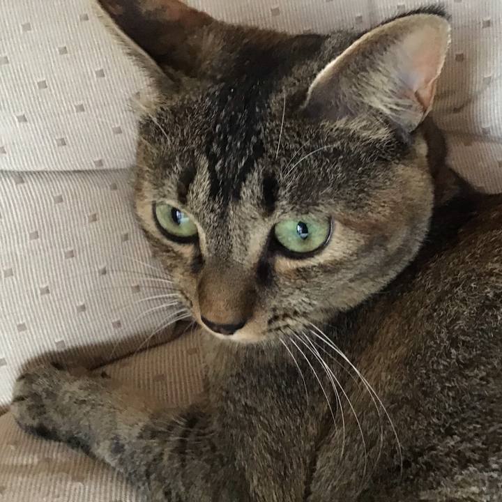 9f5acae4 7534 4ebe afee b6002b9e6269 1599986781868