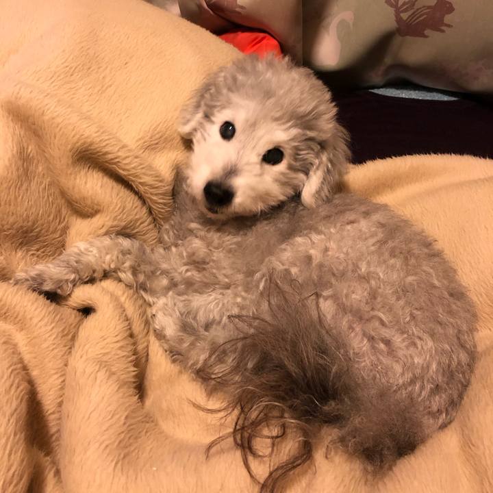 9f5aefe6 1fb6 4f7d a75b 1a29de6242b1 1585389741465