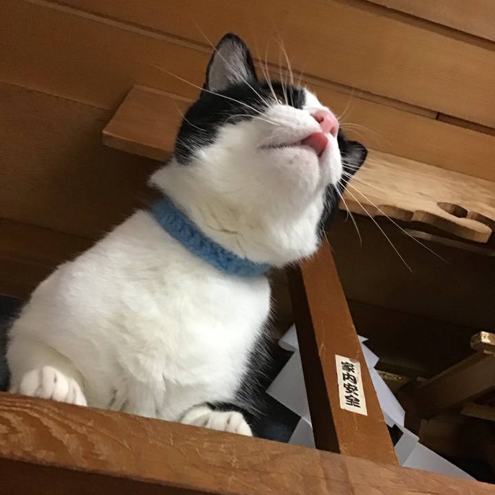 9f5b1200 cb89 4fdd a882 1ad1741b8999 1736242517684