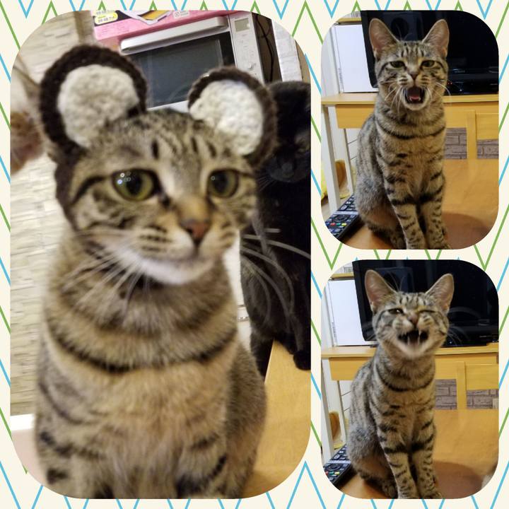 9f5b2356 d292 471d 9fe6 bc87e5cd9578 1550928007475