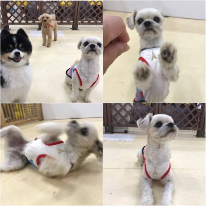 9f5b4973 4420 4a5c 9a0a b70f93286a49 1526382065537