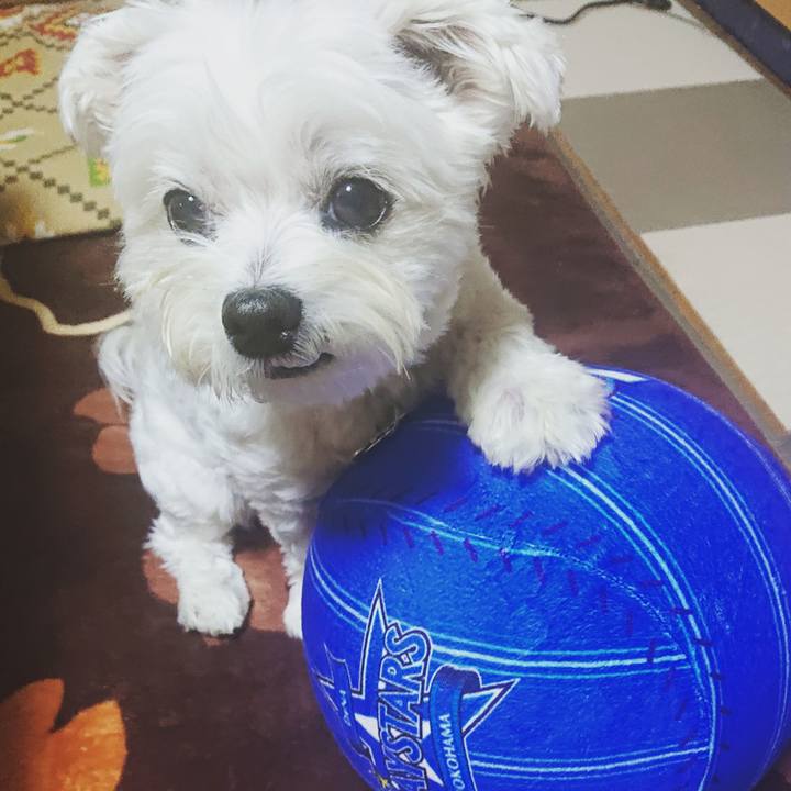 9f5b5bc1 ae37 478c af6b 0e3ff5d5ab89 1634382398002