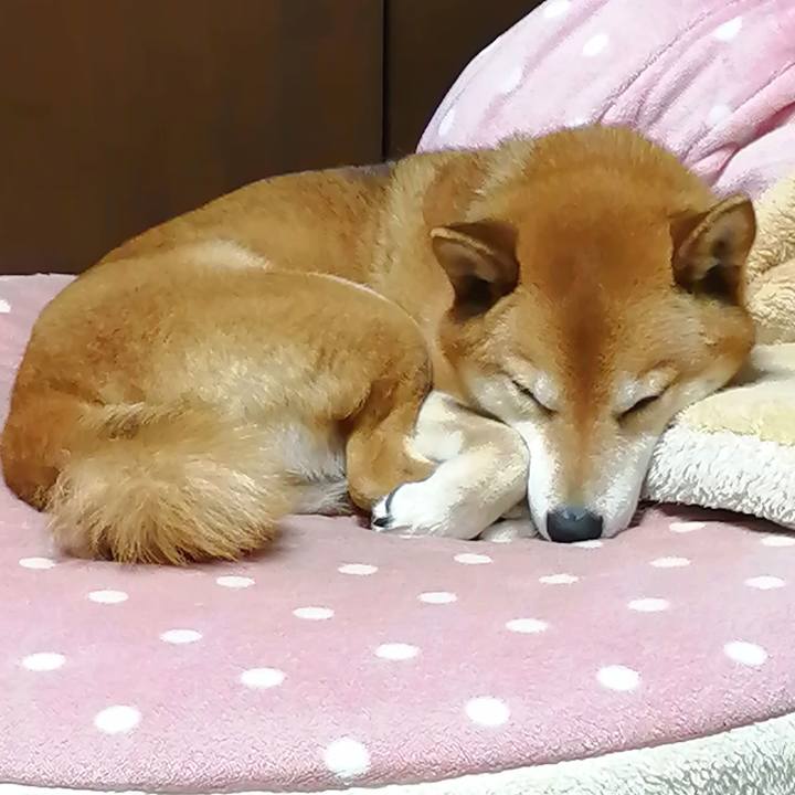 9f5b6192 26a7 43af 9031 1cd2012110b4 1649079687232