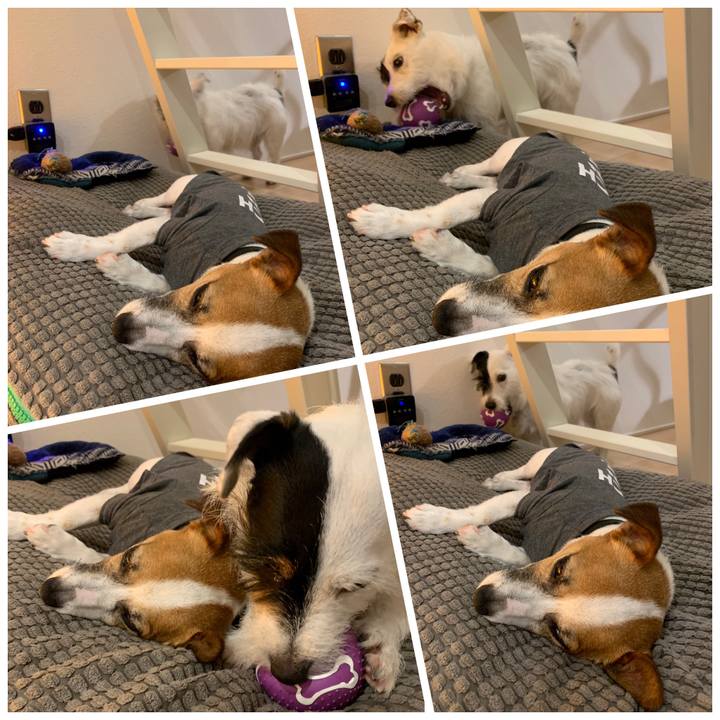 9f5bc093 82ea 44c2 9647 7ee9accf173a 1562323269894