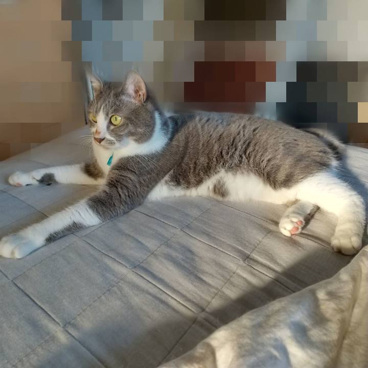 9f5bc0e1 078e 475c b322 240176996c46 1633220349058