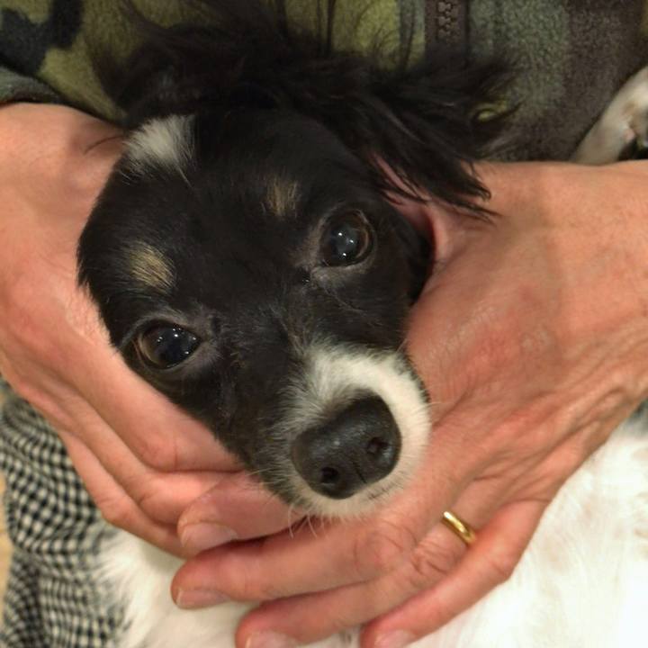 9f5c0be7 95b3 443b b68e 20ff926a36c3 1512039959517