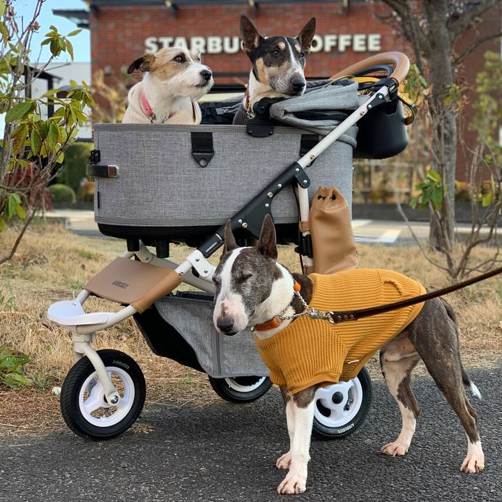 9f5c279f 3cdc 4299 8adb 36e68d370b8d 1615720047306