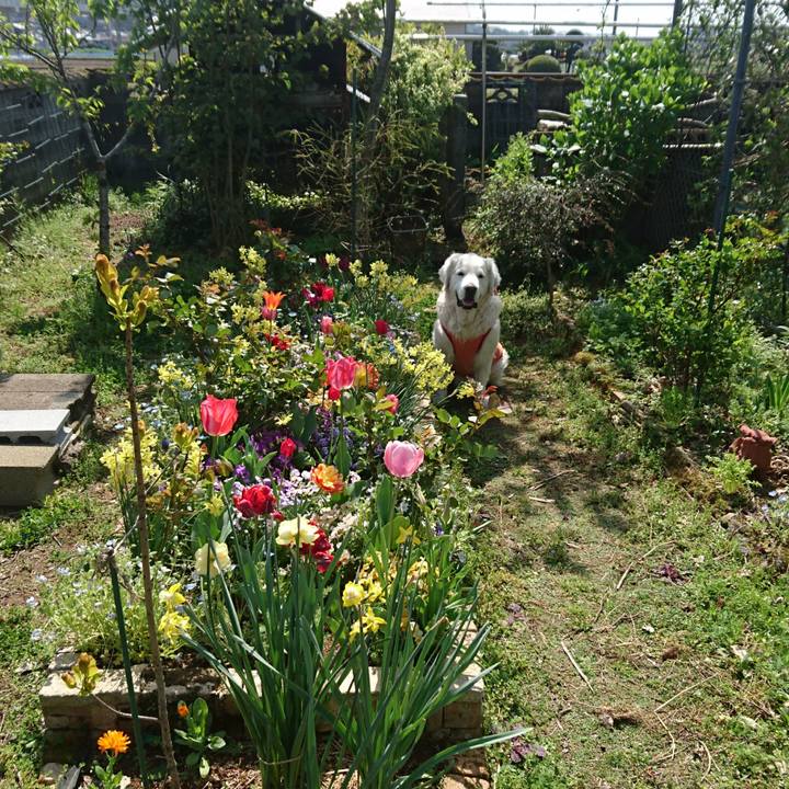 9f5c42db 0e61 427e a145 d1944130ba80 1523155077190