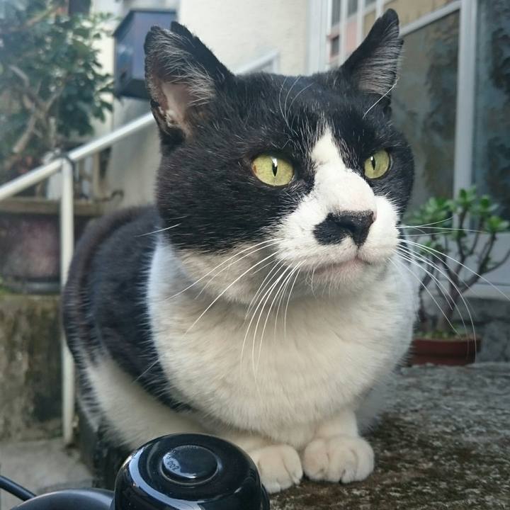 9f5c47b4 0758 44a2 9e13 9d31c81233cf 1522484379611