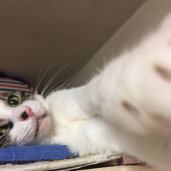 9f5c76d2 0015 491c 8f1e 33cdf2e31e4d 1531054386832