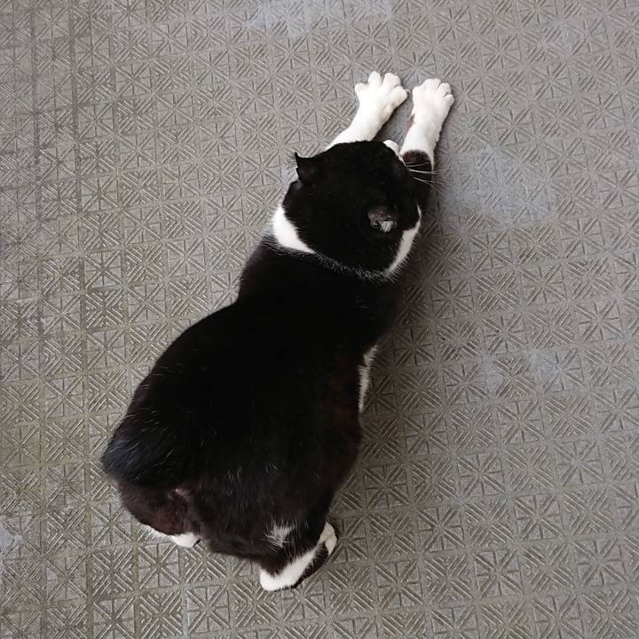 9f5c854c 0bc3 4391 81b4 02fedcc6f830 1648363113828