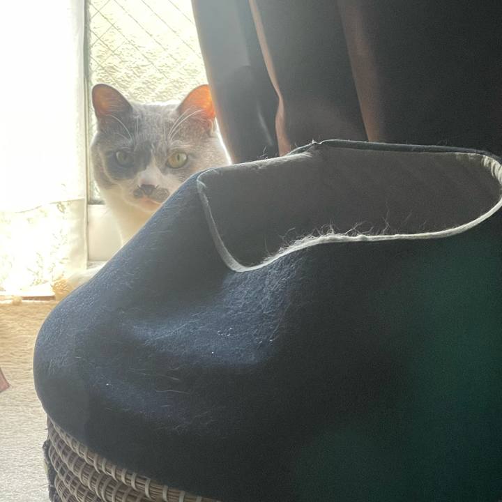 9f5c9ead 8746 403c b4ce 3e723dee9371 1757295967344