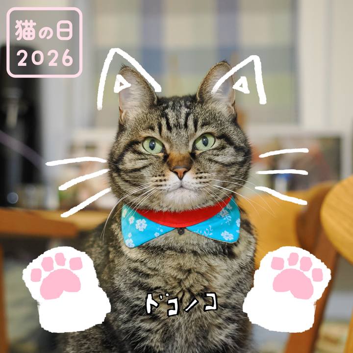 9f5ce2af 93fd 46fe 8bb1 9c294f06d19a 1771767419611