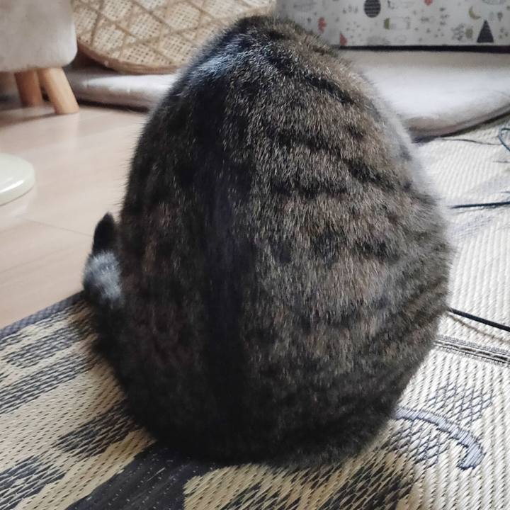 9f5cfa08 0e5a 49e1 80f0 66f0b160bc34 1660984379409