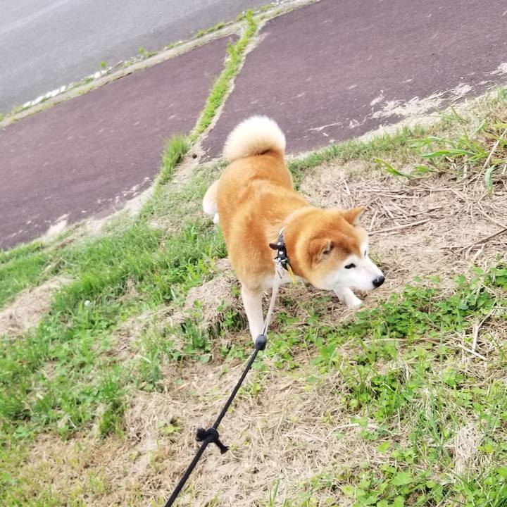 9f5d02d4 f745 4e78 b07b 755fa34ec63b 1624517660523