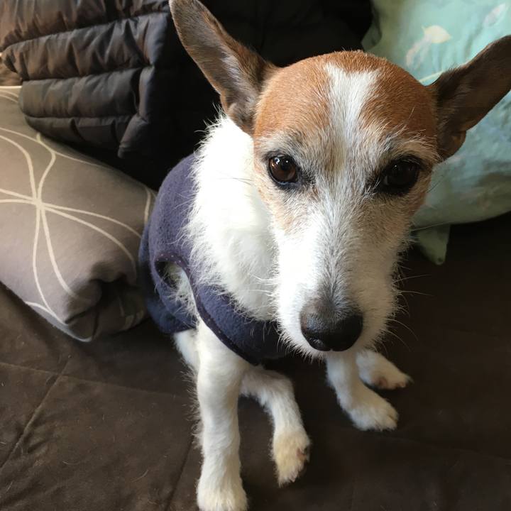 9f5d05c8 b271 4e8e afe7 53b8b650ef50 1642029722384