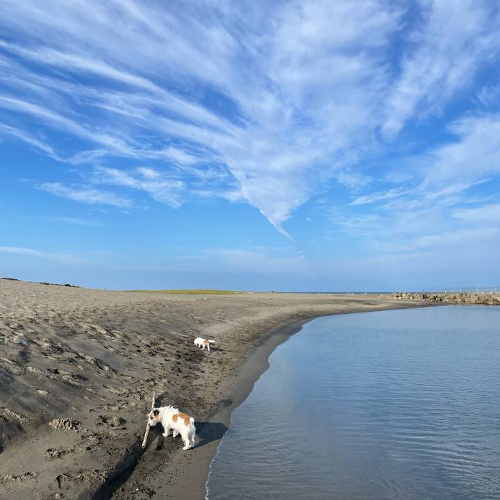 9f5d25e3 1f06 47a7 b363 af595aa05c5d 1663373005301