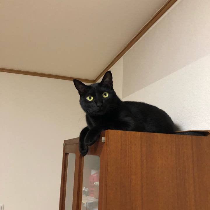 9f5d4089 5708 48a0 9535 3a9d165be0d0 1551700232950