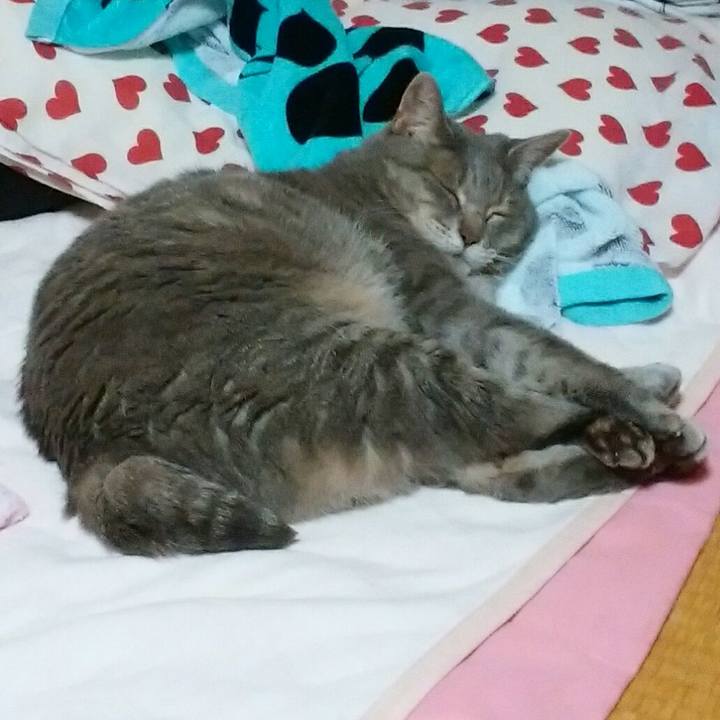 9f5d5799 a4e3 4e7d 8a80 403c29274ce0 1562594877986