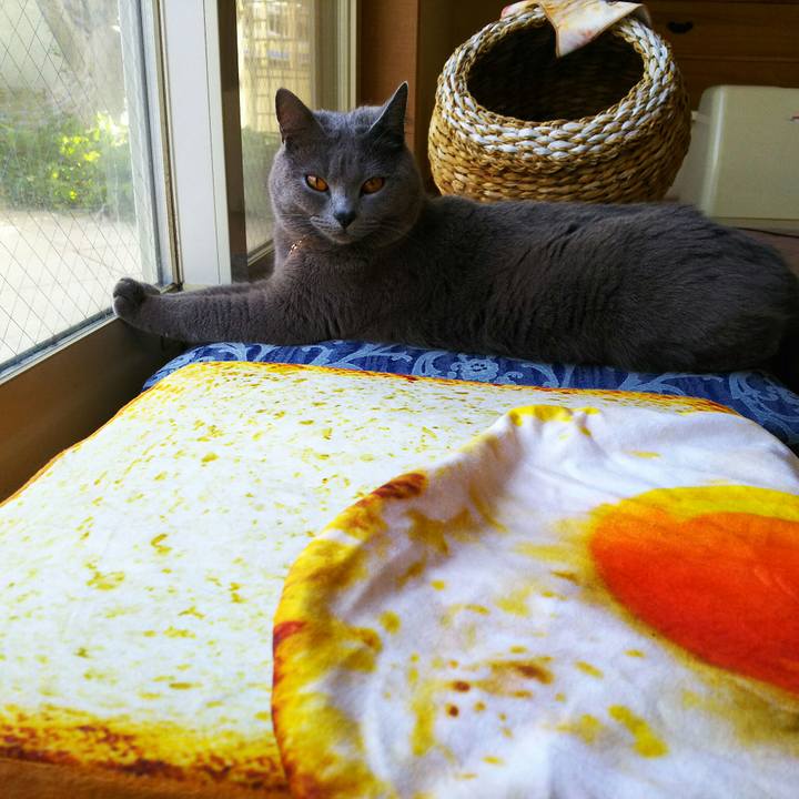 9f5d7ccf b348 422c a7e1 1c28b717be0c 1526281779818